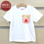 たれ耳猫が可愛すぎる！イニシャル入りキッズTシャツで特別な一枚を