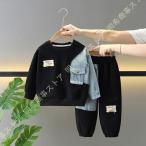 春秋冬にぴったり！キッズのトレーナー上下2点セットで元気に遊ぼう