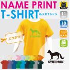 オリジナル名入れキッズTシャツで素敵な夏を！