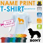 自分だけの特別な一枚！名入れキャバリア半袖キッズTシャツ