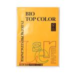 美しいオールドゴールドのバイオトップカラーで創造力を引き出そう！