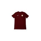 ふるさと納税でスポーツを応援！みんなの鳩サブレースタジアムセット