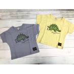 男の子が夢中になる！恐竜柄半袖Tシャツで夏をもっと楽しく