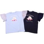 変わる！キラキラ動物半袖Tシャツで夏を楽しもう