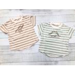 恐竜好き必見！可愛くてかっこいい恐竜柄Tシャツが登場