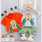 夏のお出かけにぴったり！ライオンTシャツ＆パンツのキッズセットアップ