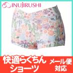 快適なマタニティライフをサポート！犬印の産前産後ショーツが登場