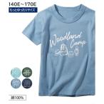 【新作Tシャツ】キッズも大人も大満足！ゆったりサイズの綿100％プリントTシャツ