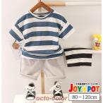 夏のおしゃれを楽しむ！キッズベビー服セットアップの魅力