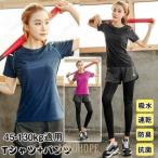 おしゃれで快適！大きいサイズ対応スポーツウェア 2点セット