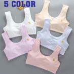 かわいさ満点！くまといちごのイラスト付きハーフトップで毎日を楽しく