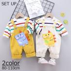 おしゃれで快適！カラフルボーダー＆恐竜アップリケの子供用セットアップ