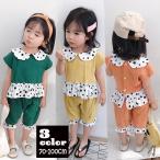 おしゃれキッズ必見！ドット柄が可愛い上下セット登場