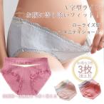 マタニティライフを彩る！おしゃれなローライズショーツ3枚セット