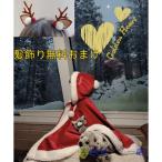 かわいいサンタ服でクリスマスを特別に！