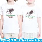 キッズにピッタリ！7MILE OCEANの半袖Tシャツの魅力