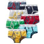 男の子必見！選べる恐竜柄のカラフルブリーフパンツ登場