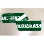 境町からJリーグへ！ふるさと納税で境トリニタスを応援しよう